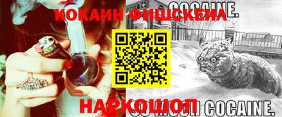 mdpv Краснознаменск