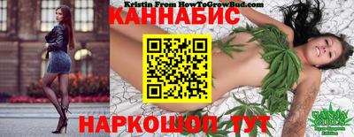 mdpv Краснознаменск