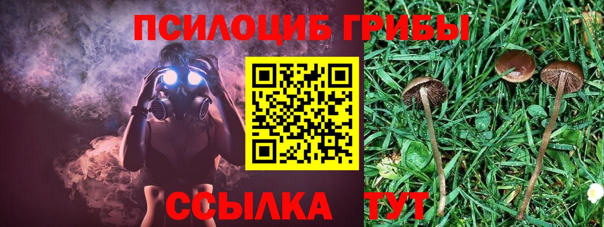 Галлюциногенные грибы мухоморы  Псилоцибиновые грибы ЛСД  Дзержинск  Вход с VPN 