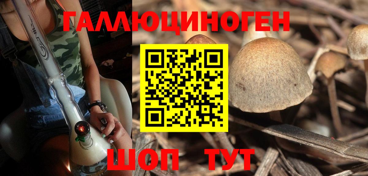 Галлюциногенные грибы Psilocybine cubensis Дзержинск